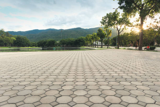 Best Decorative Driveway Pavers  in Park Center, CO