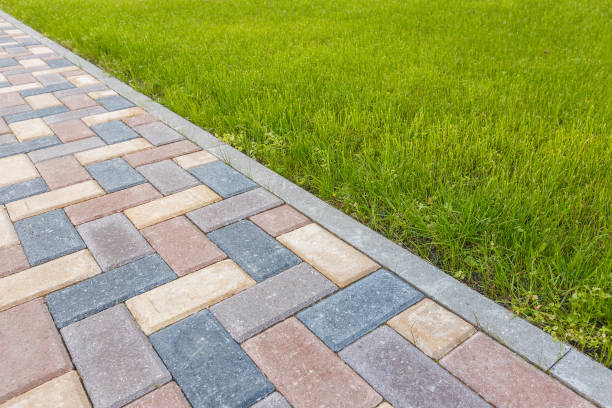 Best Driveway Pavers Near Me  in Park Center, CO